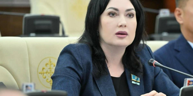 "Заң мен Тәртіп" сервисінің жұмысы көп сұрақ туындатады – депутат
