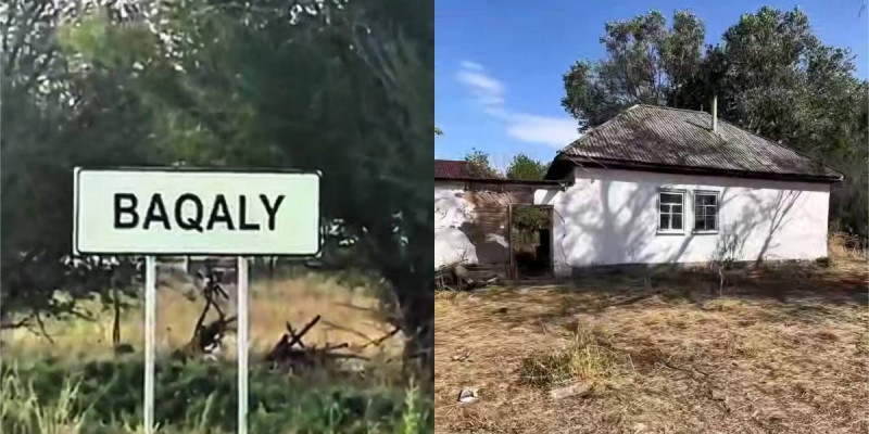 «Шығын 20 млн теңгеден асқан»: Жетісуда бір топ мал ұрылары ұсталды