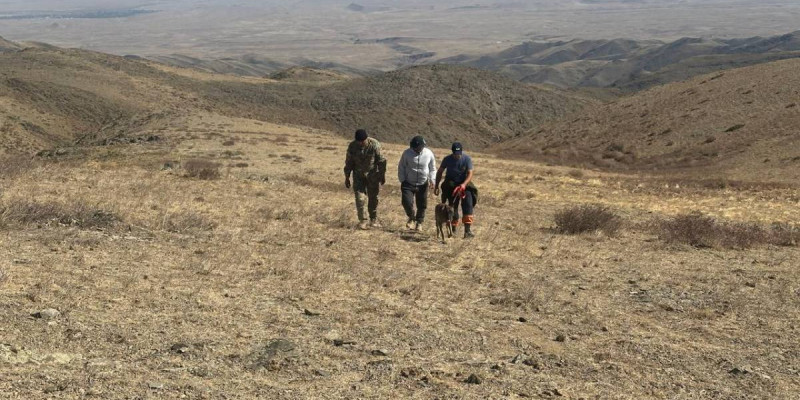 Жамбыл облысындағы тауларда жас жігіт жоғалып кеткен