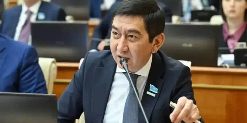 Нұрбол Назарбаевтың иелігіндегі компаниялар мен активтерді тексеру керек – Ринат Зайыт