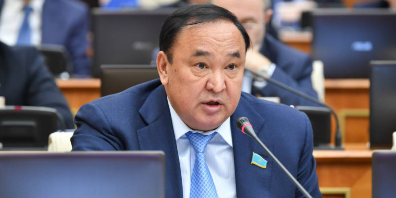 Бастауыш сыныптарда Әліппе мен Ана тілі негізгі пән болсын – депутат