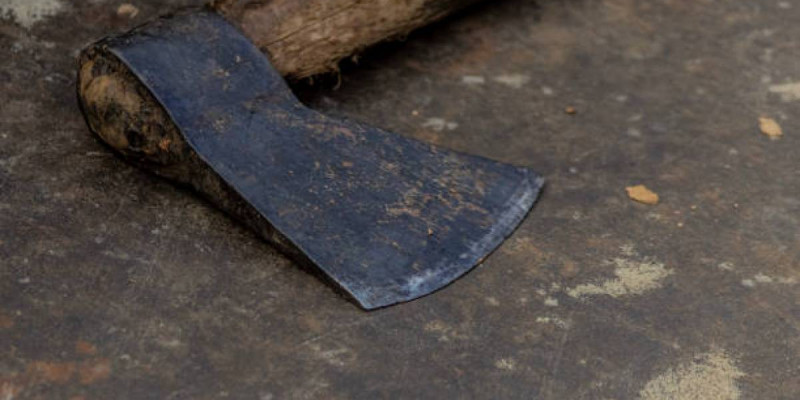 Сарыағашта ер адам қарияны балтамен ұрып өлтірді