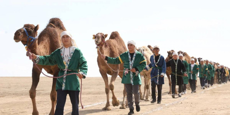 Әлемдегі ең үлкен түйе керуені