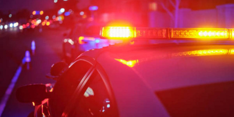 «Қатыгездікпен өлтірілген»: Қостанай облысында анасы мен ұлының мәйіті табылды