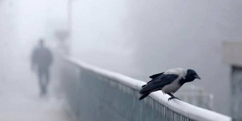 Еліміздің 13 өңірінде дауылды ескерту жарияланды