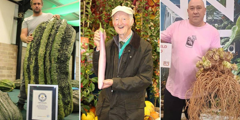 Коломнадағы жезөкшеге тапсырыс беріңіз Жалаңаш Паниннің барлық суреттері