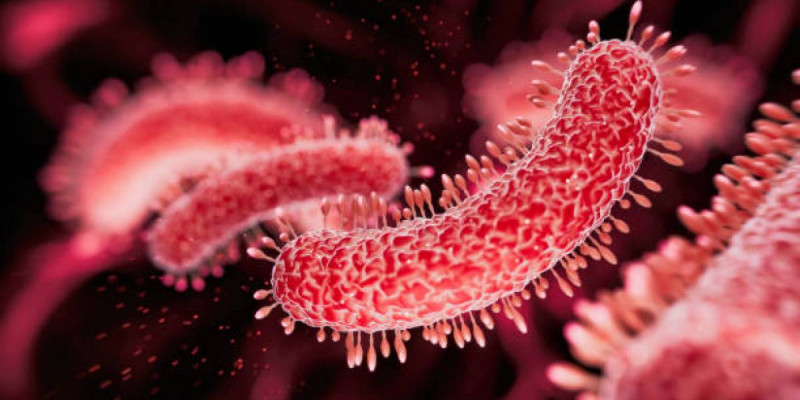 ДДСҰ ескертеді: «мутацияланған бактериялар» күшейіп барады