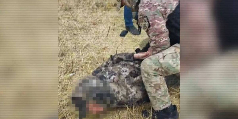 Елімізде астық ұрлығымен айналысқан 18 адам ұсталды