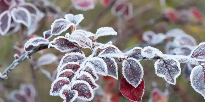 17 қазан күніне арналған ауа райы болжамы жарияланды