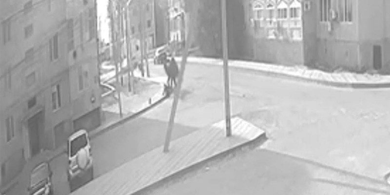 Құлсарыда түйе жасөспірімге шабуыл жасаған (ВИДЕО)