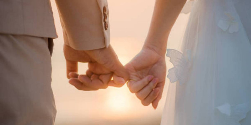 Таразда аялдамадан қыз алып қашқан үш жігітке қылмыстық іс қозғалды