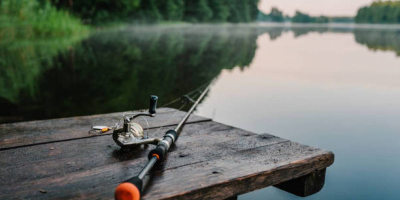 Павлодар облысында заңсыз балық аулаған 60 адам ұсталды