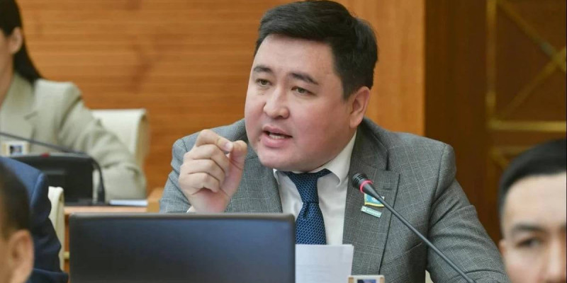 Біздің блогерсымақтар шетелге барып абыройды айрандай төгіп жүр – депутат