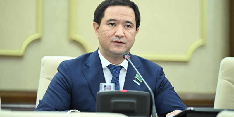 Қазақстанда интернет алаяқтық 22%-ға өсіп, залал 6 млрд теңгеден асқан – депутат