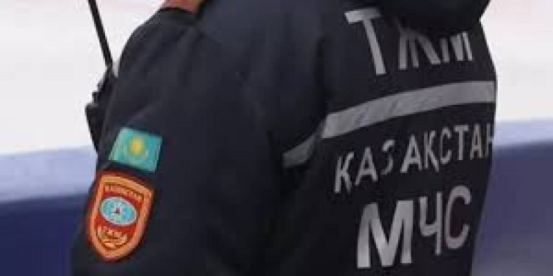 Ақмола облысында ағаш кесу кезінде ер адам қаза тапты