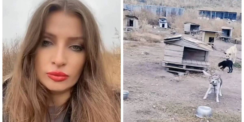 Алматы облысында жануарлар орталығына бетперде киген адамдар шабуыл жасаған (ВИДЕО)