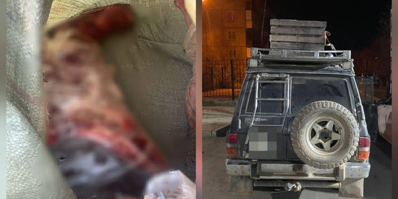 Қарағандыда заңсыз киік аулаған адам ұсталды