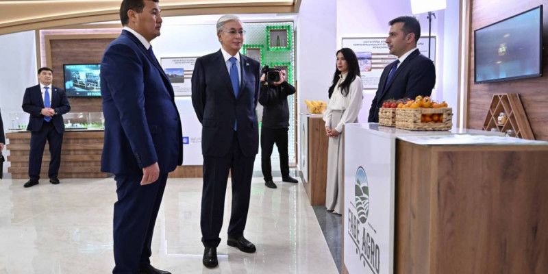 Президентке Қызылорда облысының инвестициялық жобалары таныстырылды