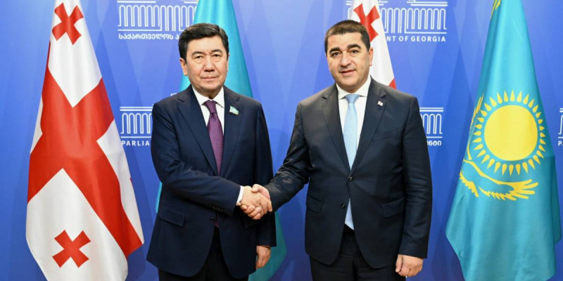 Ерлан Қошанов Грузия депутаттарымен алдағы парламенттік реформаны талқылады