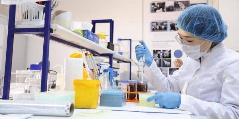 Зерттеуден нарыққа дейін