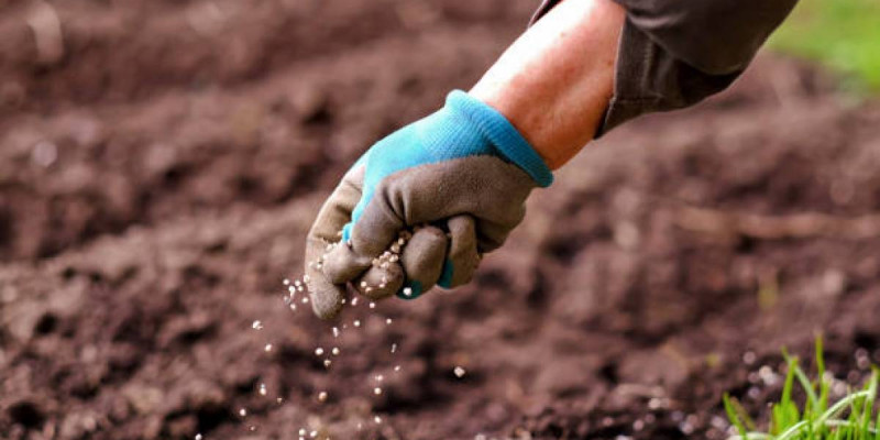 «Құны – 1,2 млрд теңге»: Қостанайда ірі жер телімі мемлекет меншігіне қайтарылды