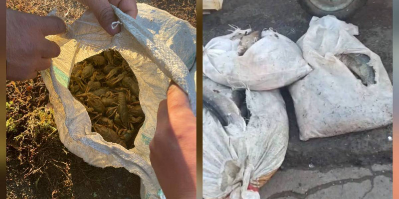 Батыс Қазақстанда 10 қап шаян аулаған азамат ұсталды