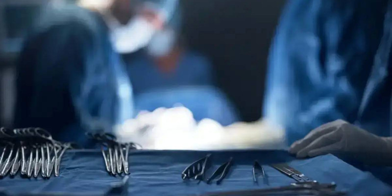 Түркістан облысының тұрғыны анасына бауырын бөліп берді