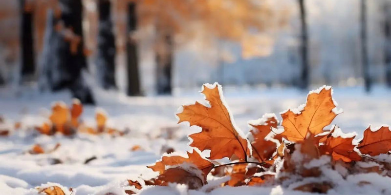 «Қар, аяз, боран»: Қазақстанның бірнеше өңірінде дауылды ескерту жарияланды