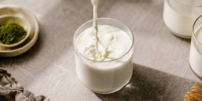 Майлы сүт жүректі қорғайды: америкалық ғалымдар тосын тұжырым жасады