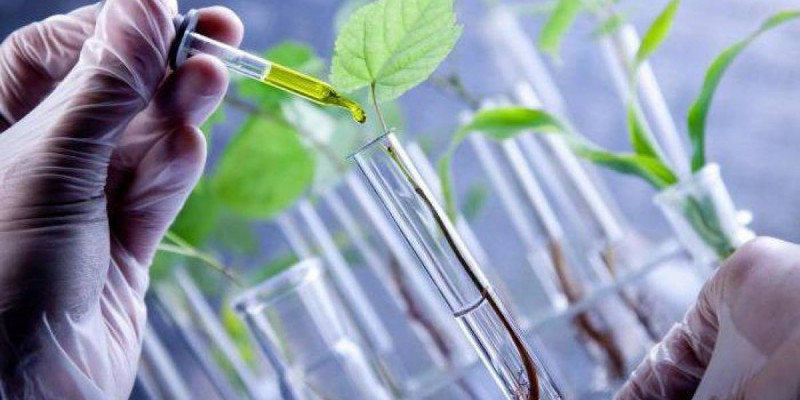 Елімізде аграрлық салада маман тапшылығы қалай реттеліп жатыр?