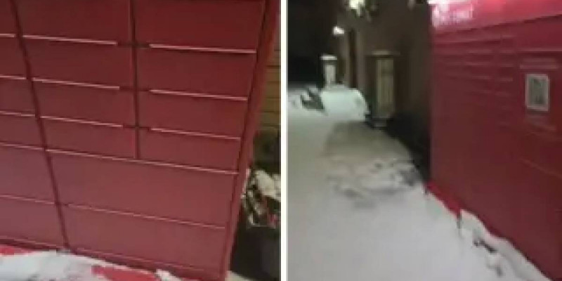 Екібастұзда біреулер мысықты поштоматтың ұяшығына қамап кеткен