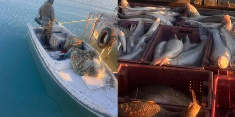 «Шығын – 1,2 млн теңге»: Балқаш көлінде браконьерлер ұсталды