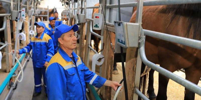 АҚШ-қа экспортталатын қарағандылық сүт өнімдері енді Қытайға жеткізілмек