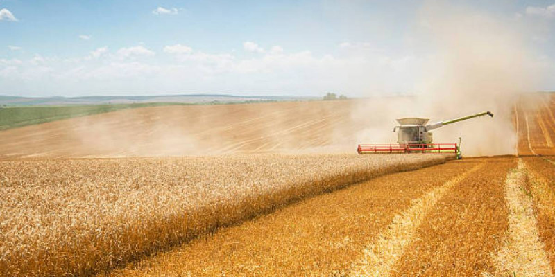 Биыл Ақмола облысы рекордтық мөлшерде астық жинады – Марат Ахметжанов