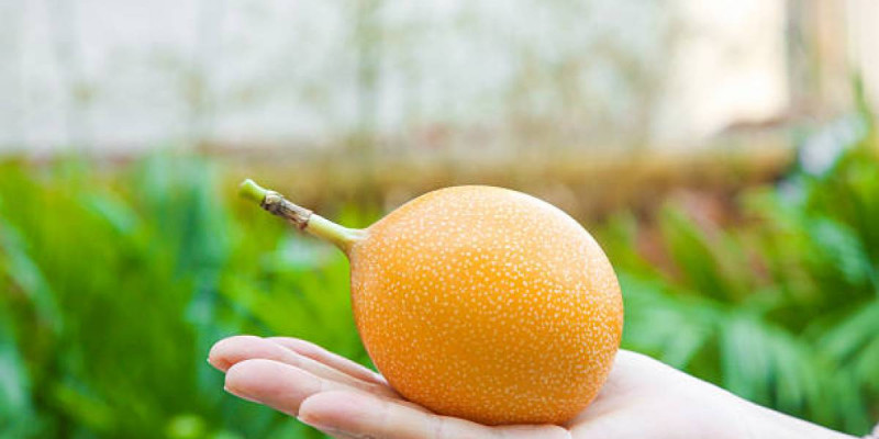 Ғалымдар холестеринді ретке келтіретін жемісті атады