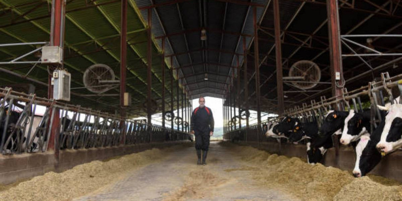 СҚО-да 57 жастағы шаруа қожалығының басшысы өлі табылды