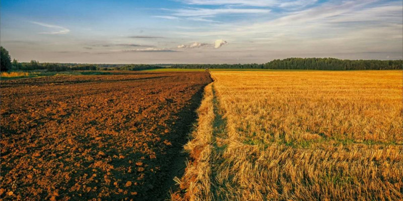 Жайылымдық жерлер ауыл тұрғындарына және нақты жоспары бар инвесторларға берілуге тиіс – Тоқаев