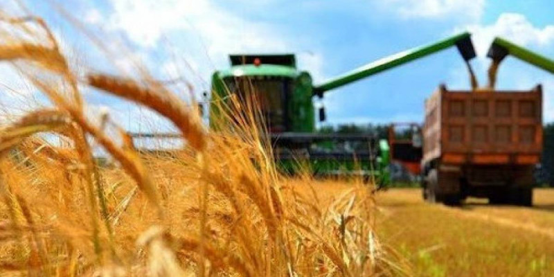 Қазақстанда рекордтық 27,1 млн тонна астық жиналды