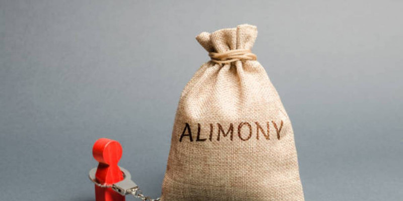 Павлодарлық келіншек балаларына 3,5 млн теңге алимент төлемеген