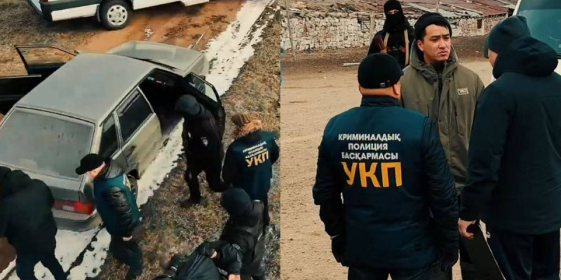 Павлодар облысында ұрланған 252 мал иесіне қайтарылды