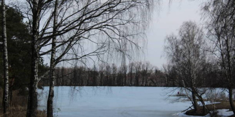 Көкшетауда мұз астына түскен үш баланы құтқарып қалған ер адам марапатталды