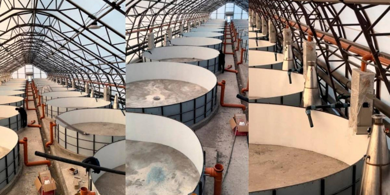 Шығыс Қазақстанда 348 млн теңгеге балық өсіру кешені салынады