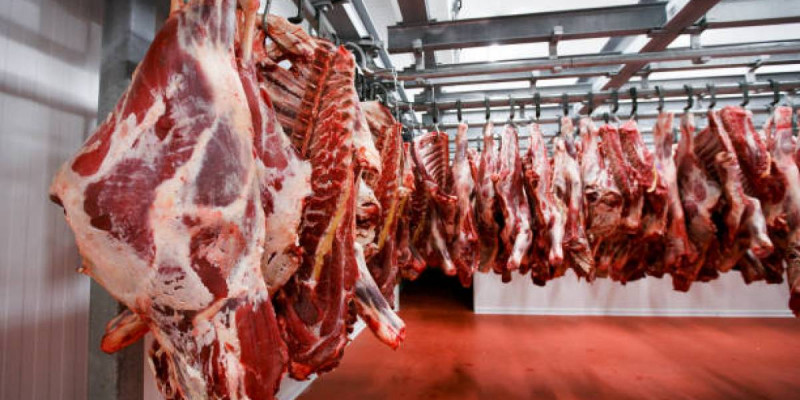 Астанада заңсыз ет сатқандар ұсталды