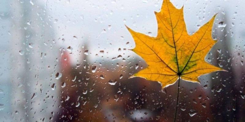 Ертең еліміздің басым бөлігінде жел күшейіп, кей өңірде бұрқасын болады