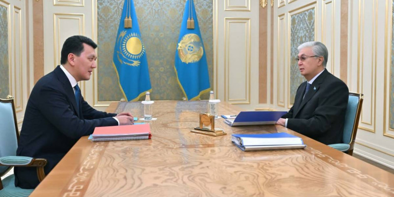 Президент Мемлекеттік кеңесші Ерлан Қаринді қабылдады