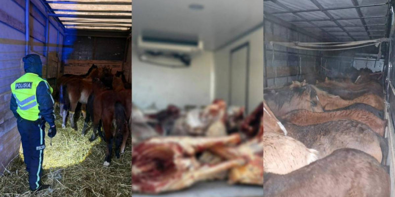 Шығыс Қазақстанда мал ұрылары ұсталды