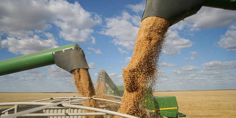 Биыл қарашада Әзербайжан арқылы Арменияға Қазақстан бидайының алғашқы тоннасы жеткізілді