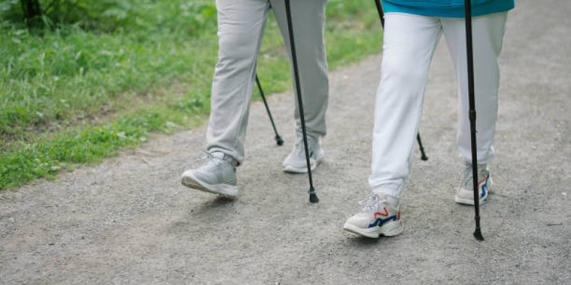 "Күніне 10 мың қадам жүруден де нәтижелі": ғалымдар жаяу жүрудің ең пайдалы түрін атады