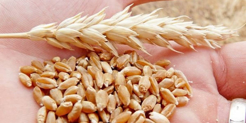 Тоқаев өз елі арқылы Қазақстан мен Армения арасында екіжақты тікелей сауда жүргізуге жағдай жасағаны үшін Әлиевке ризашылығын білдірді