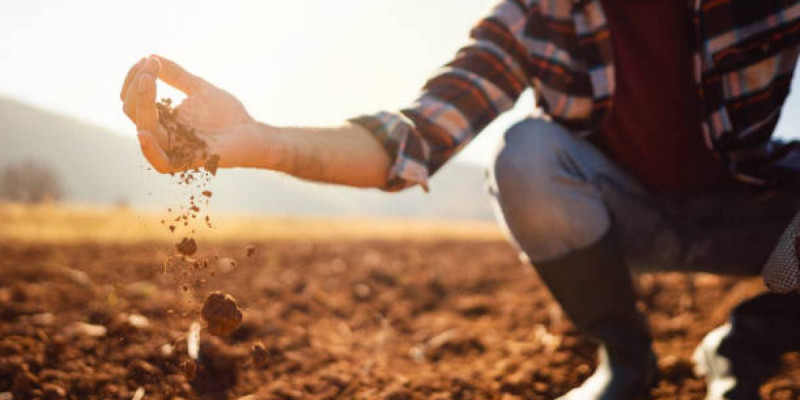 Абай облысында 171,2 мың гектар жер мемлекетке қайтарылды